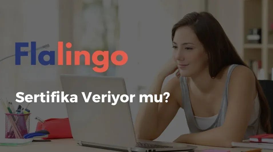 Flalingo Sertifika Veriyor Mu? Flalingo Sertifikası Geçerli Mi?