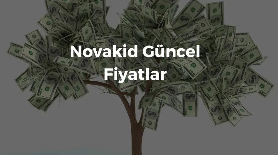 Novakid Fiyatları Ne Kadar? Çocuklar İçin Online İngilizce Platformu Novakid Deneme Dersi Deneyimi